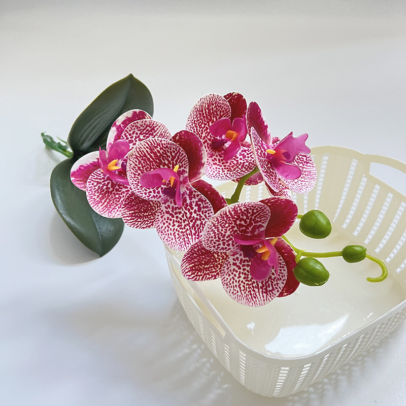 스팟 파우더 (높이 37*가로 14CM)