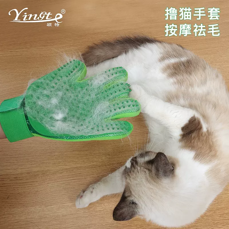 宠物用品 宠物洗澡手套  狗狗猫猫洗澡清洁工具 洗澡按摩手套