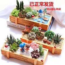 ���� ����ֲ�� ���b�M�������҃��k���ҷ�ݗ�䄓��diy���Ժ�����