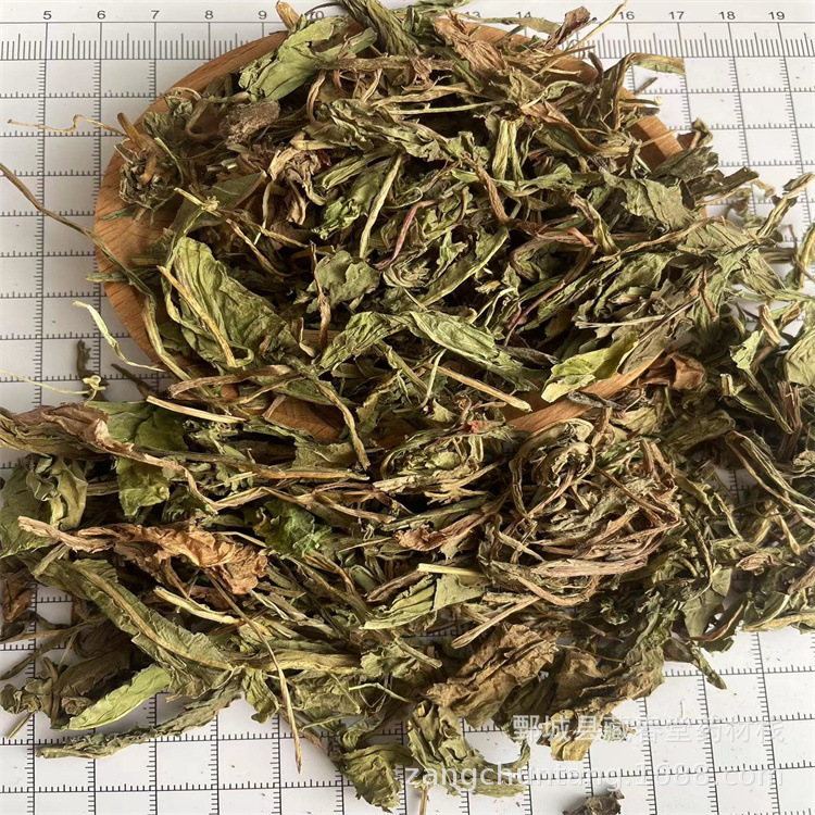 Dandelion 500g Chinese Herbal Medicine Wholesale Supply Dandelion Spot Supply Large Favorably Dandelion 500g Chinese Herbal Medicine Wholesale Supply Dandelion Spot Supply Large Favorably