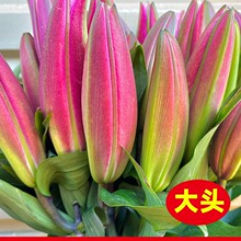 ��ˮ�ٺϻ��r�����ֱ�l�r�л�ֱ��ˮ�B�廨�r�����fͬ��