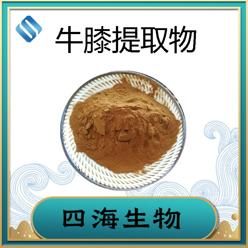 厂家直供 牛膝提取物10:1 麻牛膝水溶性牛膝粉 陕西四海现货