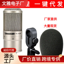 Takstar/得胜 PC-K200简装版电容麦克风录音话筒一件代发收音