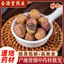 砂仁中药材批发 阳春砂 蜜砂仁 缩砂仁 土密砂 西砂仁砂米小豆蔻