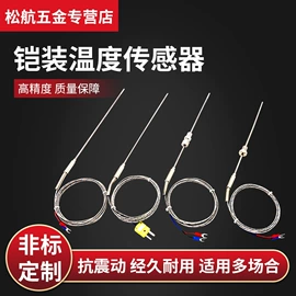 其他仪器仪表;热电偶;温度传感器