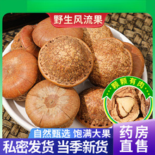 ҰL5вșʯ^ݾϺˮӺ[