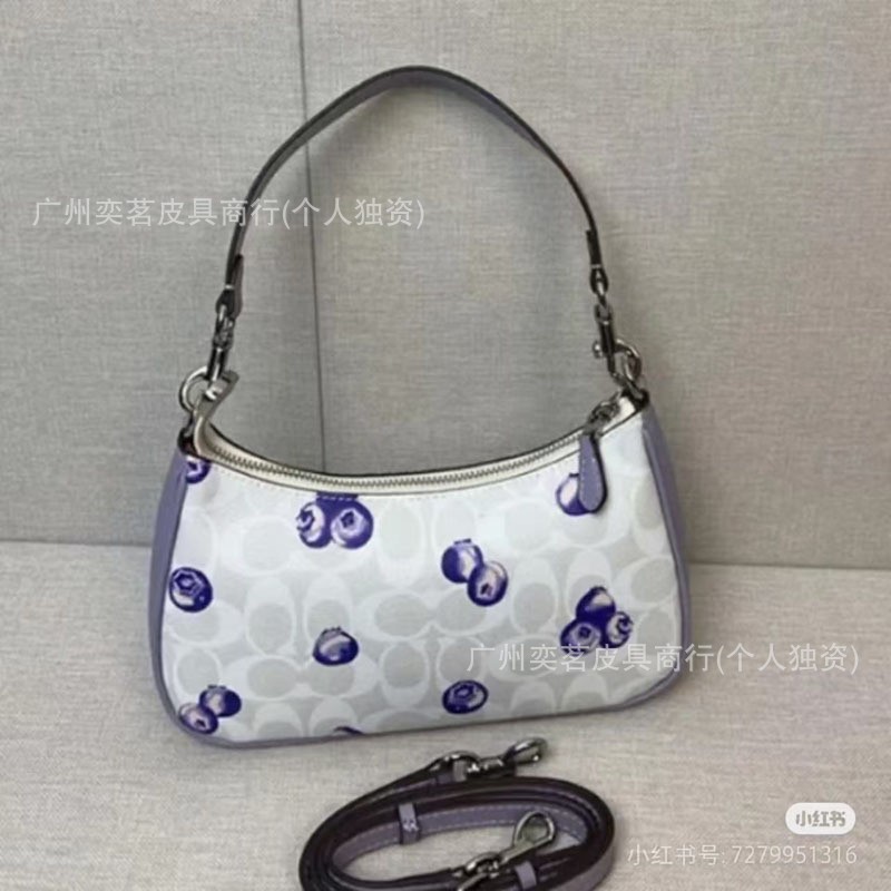 Blueberries (envasado en caja de regalo)