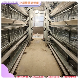 层叠式蛋鸡笼肉鸡笼清粪机捡蛋机喂料机实体厂家定制生产