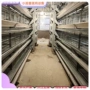 层叠式定制生产实体清粪机