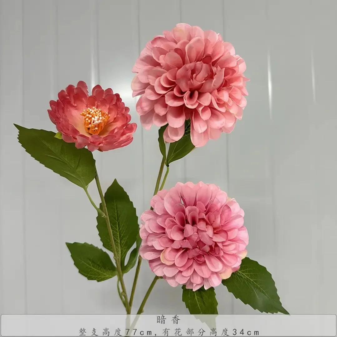 다크 프래그런스 - 다크 핑크