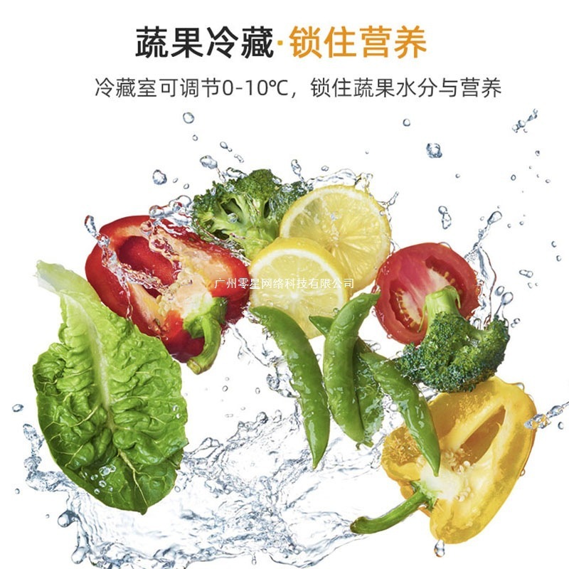 志高小冰箱一级节能家用省电小型租房宿舍用办公室迷你双门电冰箱|undefined