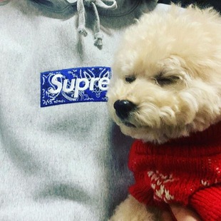 23�곱��Supreme �Բʽ���̽��ӽq������Ů�����^�Bñ�l������