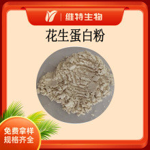 花生蛋白粉 蛋白含量50% 营养强化剂  食品花生蛋白 现货供应