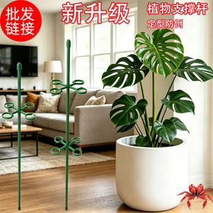 �Gֲ�������̶�������������m�ﺣ�ķ���ͨ��ֲ��֧�ΗU