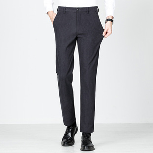 Sheep Wool Men's Business Casual Pants Autumn New Loose Straight Easy Care Casual Pants Solid Color Trousers for Men