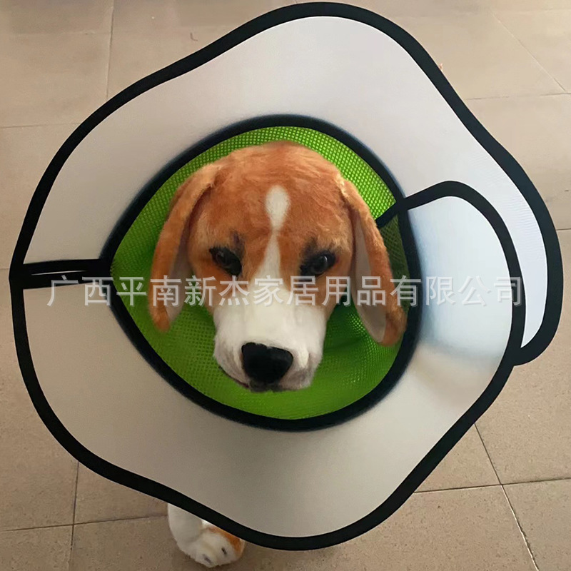 微信图片_20230830131423