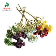 ���潑����� ����ֲ��˻� �Ҿ��b�ƿ�[���廨��� ���z����