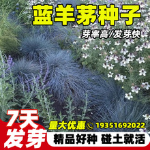 {éNӾ^G^pļNͥԺ׻ͺԷN