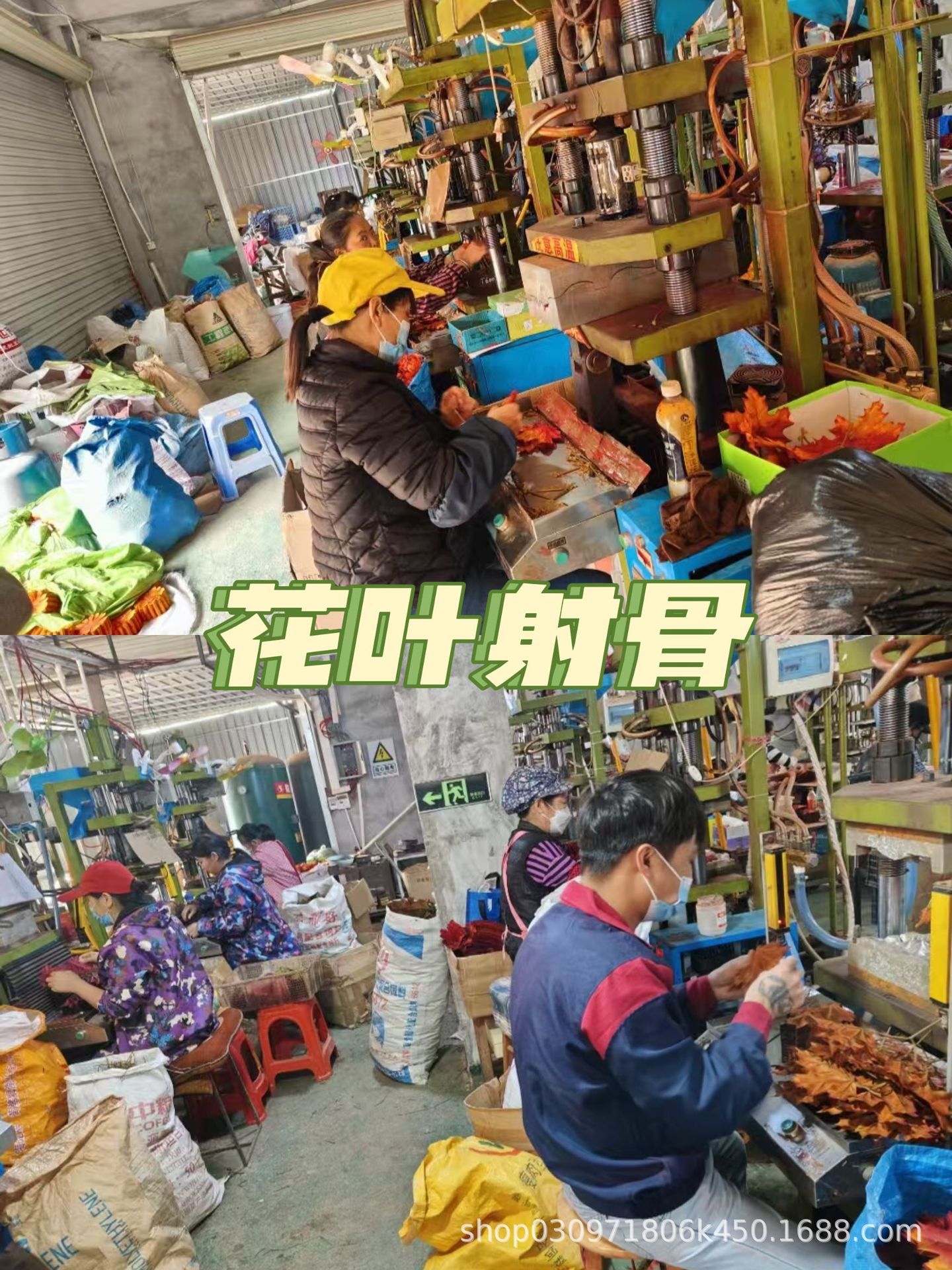 d3198b710f8759ac372b034f6682e3