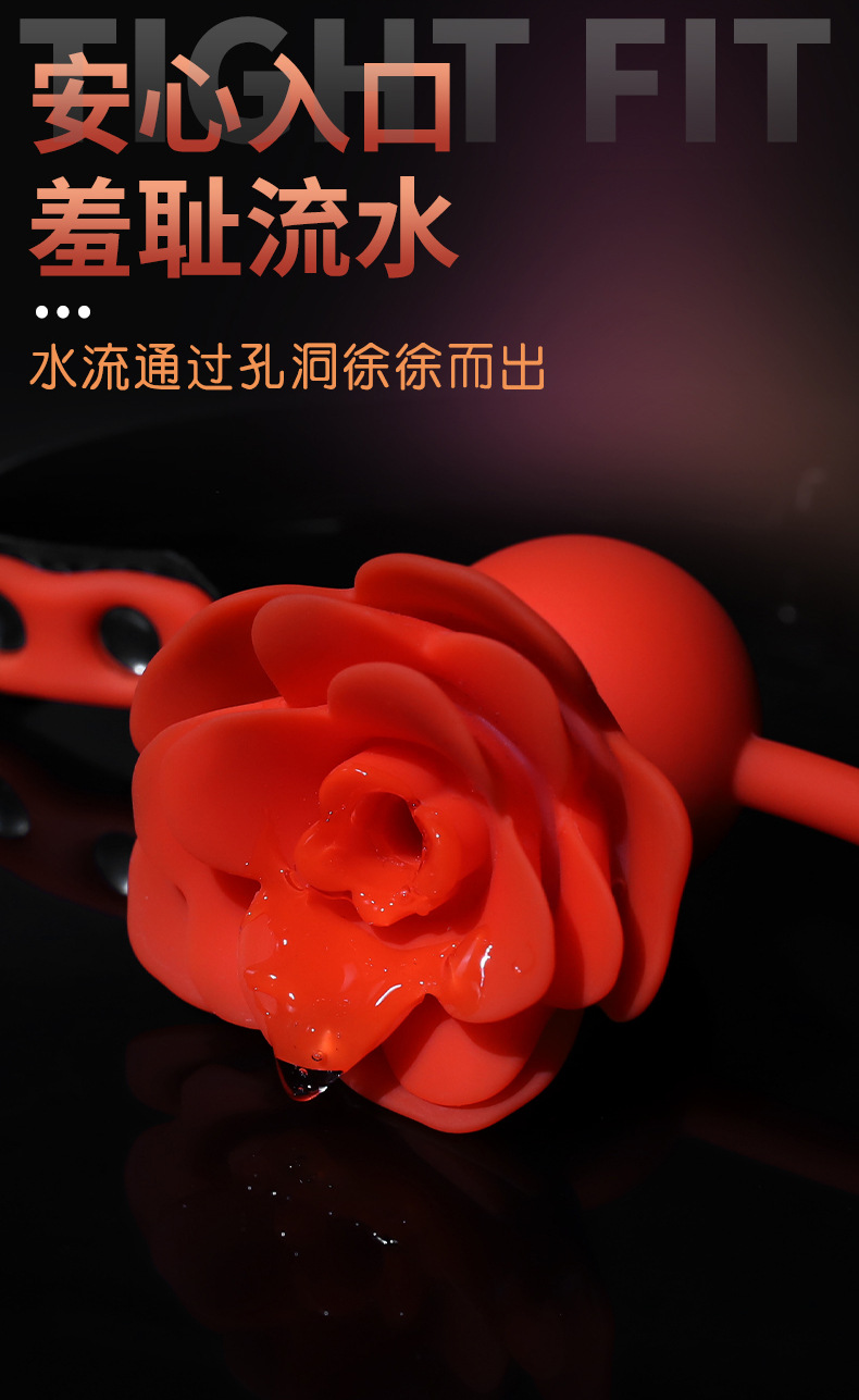 Silicone Mouth Plug with Leather Strap for Couples Bondage Play — detail image 1