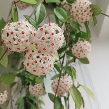 �ļ����m�������m����������λ����҃����ٵ��m