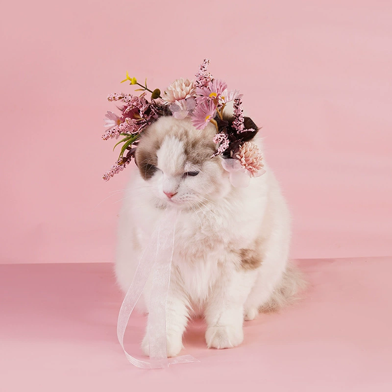 Ji Zai Pet Cat Cat Four Seasons Универсальный обруч для волос Собака Пасторальный свежий венок милый головной убор