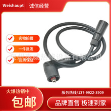 weishaupt����ȼ���C�߉��� ��ĸ�^ ׃�����c�� �߉�����|��