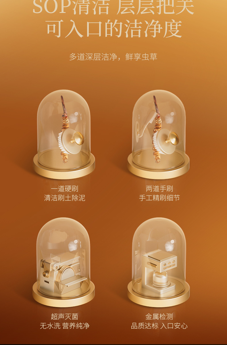 Premium Cordyceps Gift Box Dong Chong Xia Cao 5g Wild-Harvested Qinghai Origin Whole Stems specifications