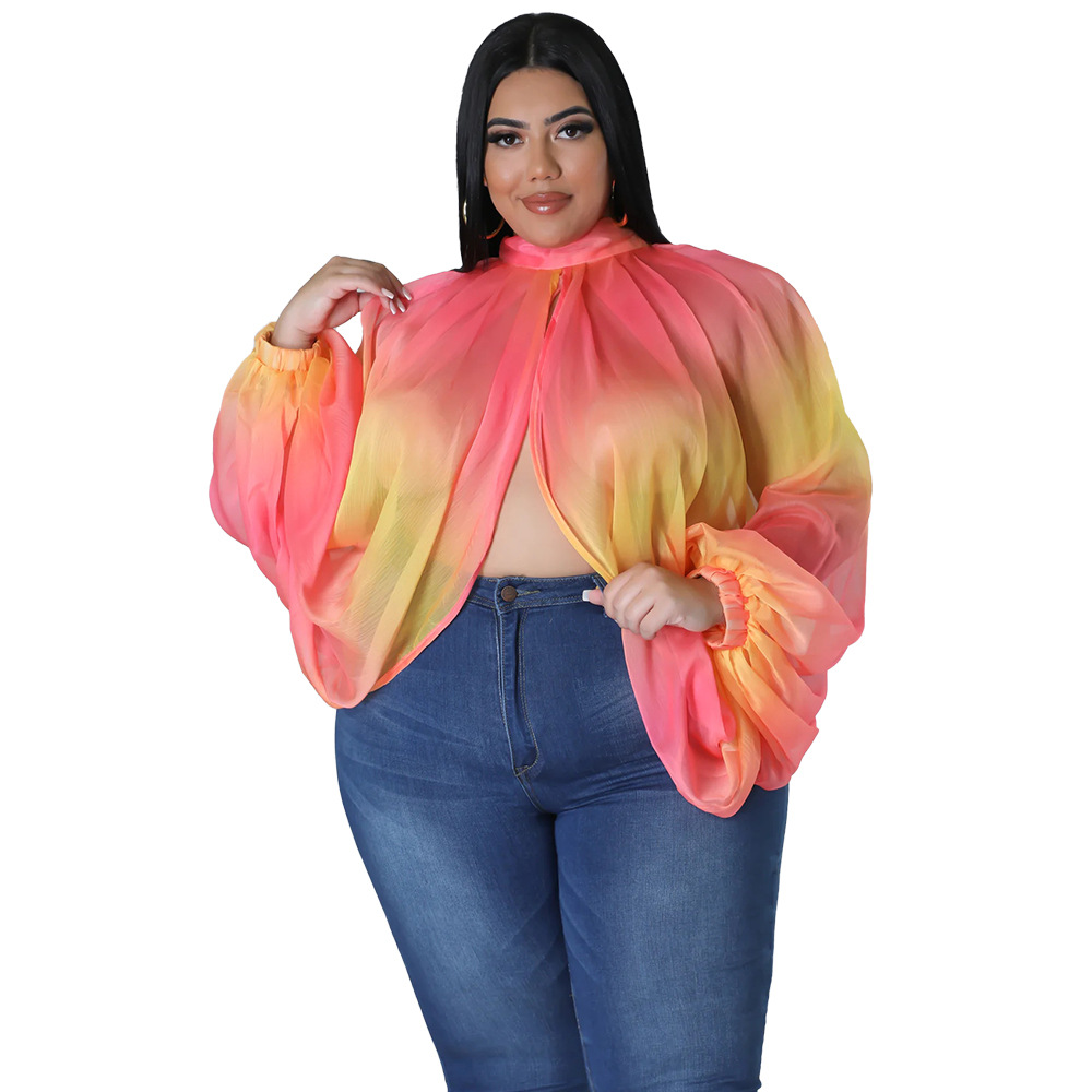 252g Weight Long Sleeve Sleeve Length Regular Sleeve Sleeve Type Spandex, Polyester, Chiffon Fabric Type Long Top Length Blouse Tops Type Daily, Street Occasion Round Neck Neckline Regular Fit Fit Type Color Block Pattern Spring&Summer Season Streetwear Style Blouse Long Sleeve Plus Size Tops Streetwear Color Block 55