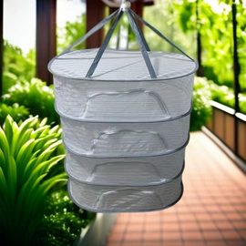 晾晒篮/绳;鸟类;晾衣架晾晒架