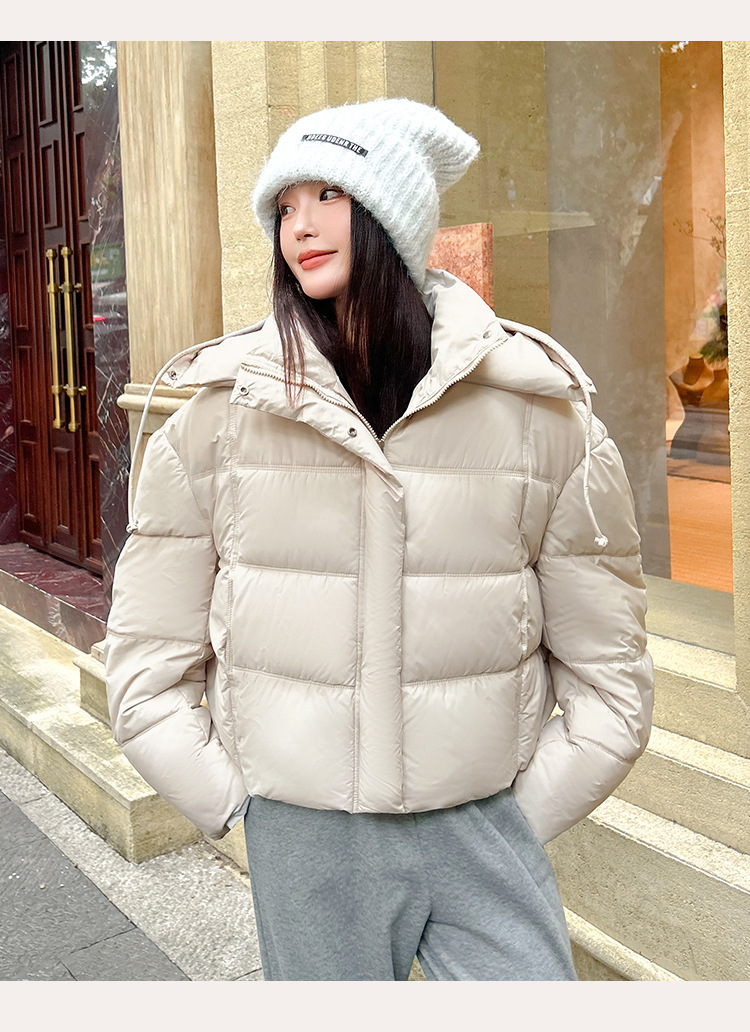 5121_13.jpg