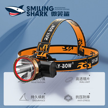�¿��继��ǿ������LED������Яʽͷ�� ������ҵ����ͷ����