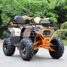 �羳�¿�ȫ����ɳ��܇ATV��݆ԽҰĦ���r��܇UTVѩ��܇����200cc