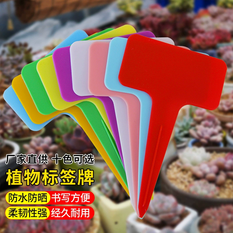 Т-образные 100 утолщенных садовых этикеток, водонепроницаемые и солнцезащитные, красочные пластиковые цветочные растения, суккулентные цветочные горшки, вставки с именем цветка
