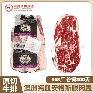 ����558����˹�����wԭ��ţ�ż�Ѫ���ѩ��ţ�⿾������������l