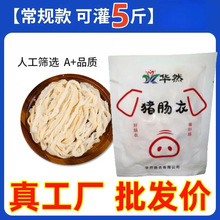 СȻȻ㳦⳦ù೦ֹ¹೦