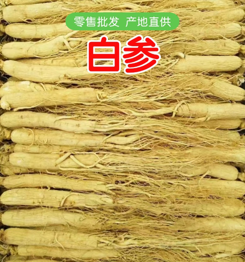 Dried Northeast White Ginseng Whole Roots Large Grade for Soup and Wine Making overview