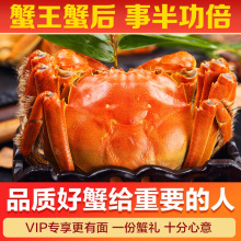 �����w���؛���������l�K�ݾ�Ʒ���lз΢�̈Fُ����YƷ��˾����