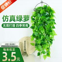 ����G�}�͏d�젝�Gֲ�ڒ�ֲ�ﴹ���ٻ��b��ٗl�G�~�������m���@