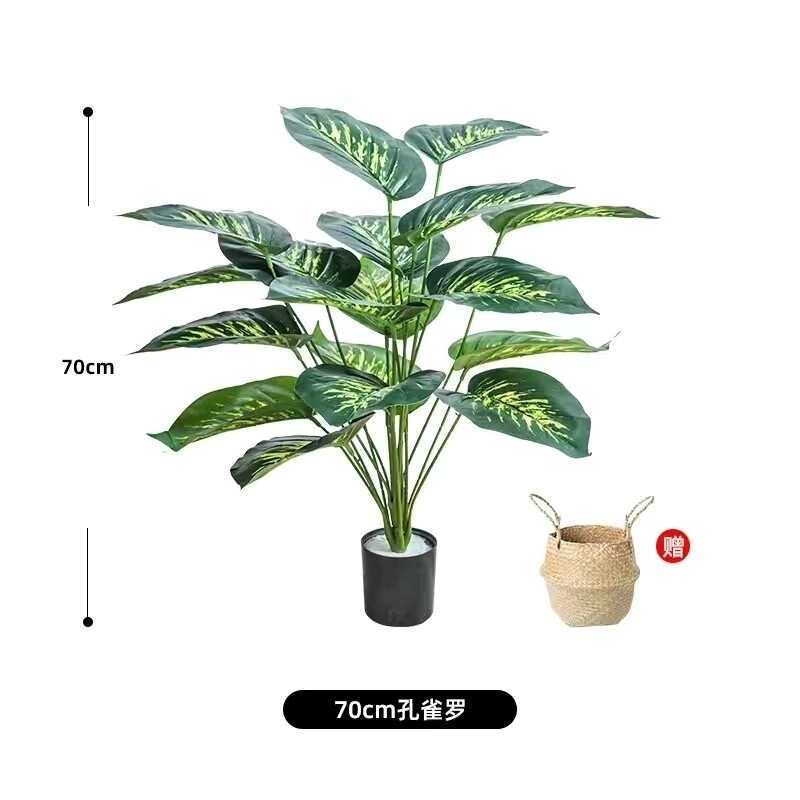 モンステラ 大型鉢植え 水耕栽培 大葉植物 古い杭 リビングルーム 大型緑の植物 花 オフィス オープンバックで富を引き寄せる|undefined