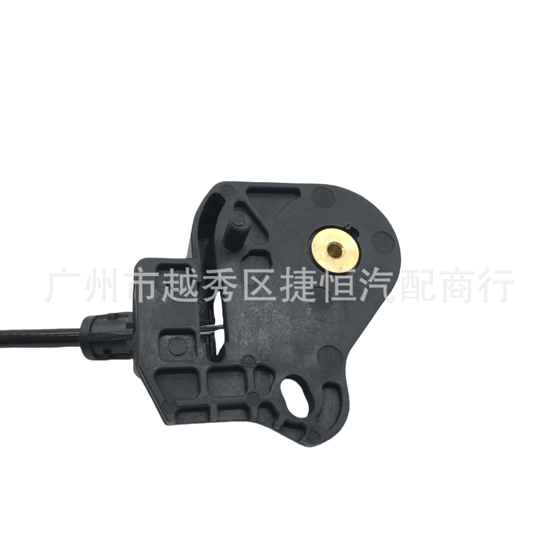 IMG_1985
