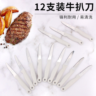 Factory Direct stainless steel steak knife plastic handle steak round head fruit knife peel fine teeth steak knife 12pc pack