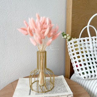 Creative Iron Small Vase Home Decoration Living Room Feather Simple Light Luxury Dog Tail TV Cabinet Dining Table Decorations