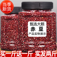 �|���خa���L����С��1000g���b�ඹ�t���Z��޲�����������s�Zl