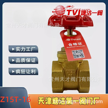 �������һ�y TVI �S�~�z���l�yZ15T-16�~�l�yȫ�~�z��ůͨ����