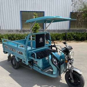Tricycle rain canopy, sunshade, rain cover, courier vehicle front canopy, thickened windproof, foldable electric tricycle rain canopy
