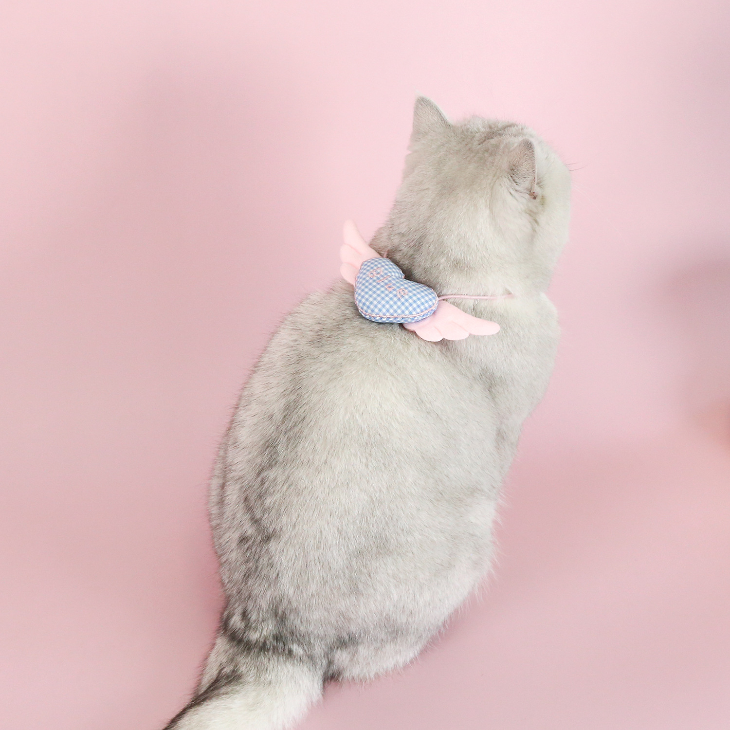 Pet cuadrícula amor collar de alas gatito cachorro Teddy Angel princesa buñuelo rosa azul lindo collar