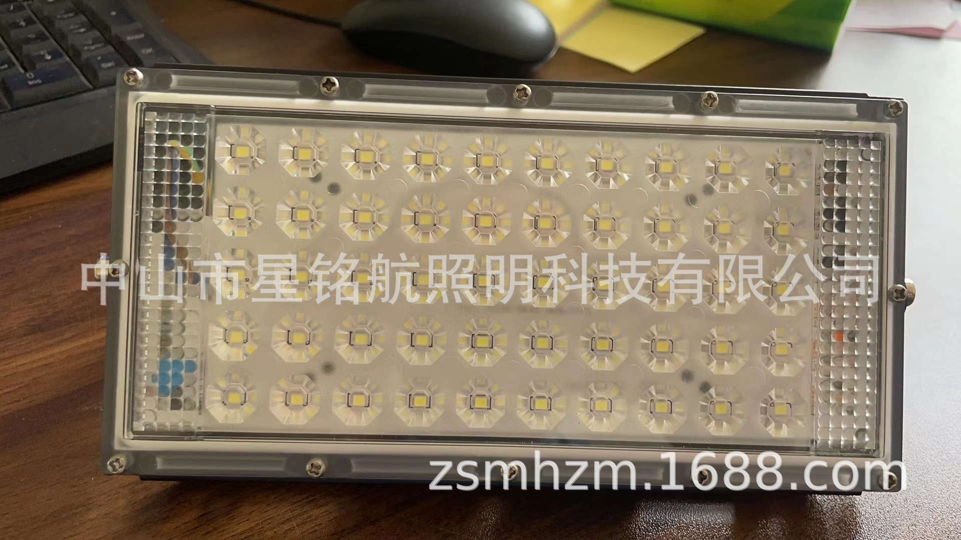 220V 매화 렌즈 따뜻한 빛 50W