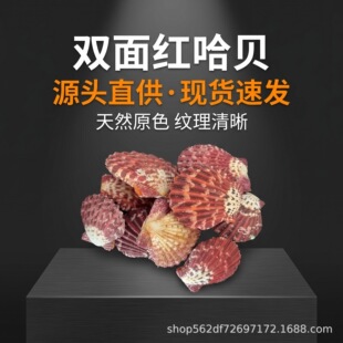 �p��t��ؐ����ؐ���ͮ���ؐ���Ndiy�b��~��ˮ�����쾰��ɫ��ؐ