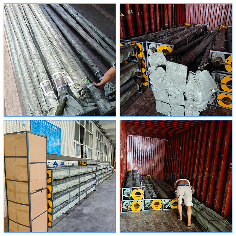 高6米 宽4米16片叶黄杆 绿叶 油棕树灯 41 (5).j